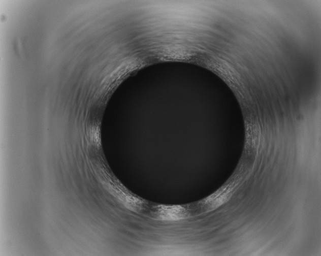 X0000087350143200704201131