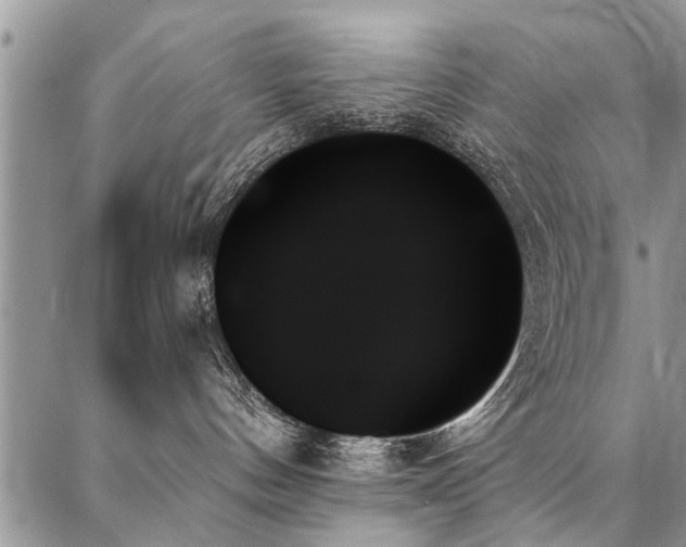 X0000087350144200704201131