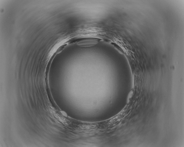 X0000087350147200704201131