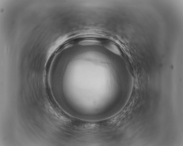 X0000087350152200704201131