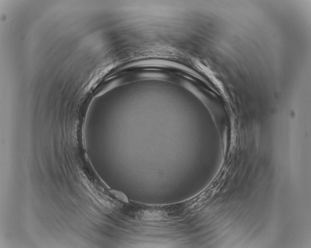 X0000087350154200704201131