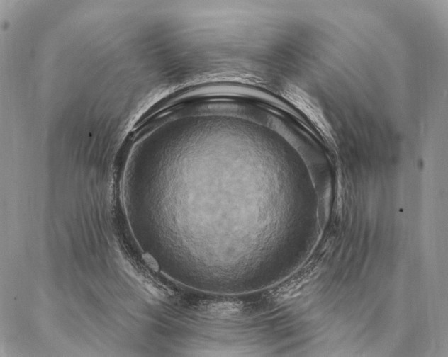 X0000087350156200704201131