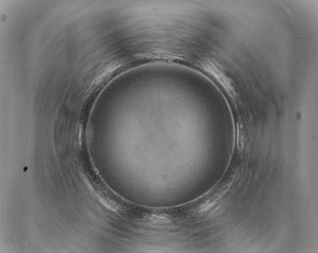 X0000087350157200704201131