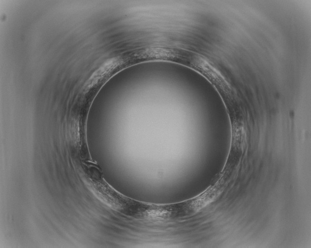 X0000087350158200704201131