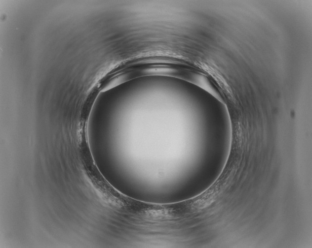 X0000087350160200704201131
