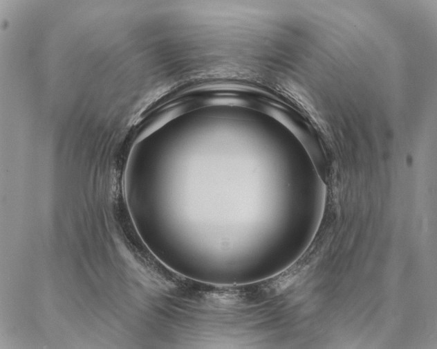 X0000087350164200704201131