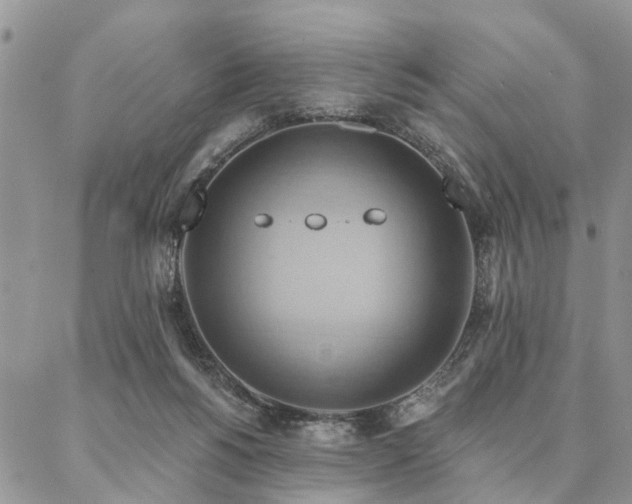 X0000087350168200704201131