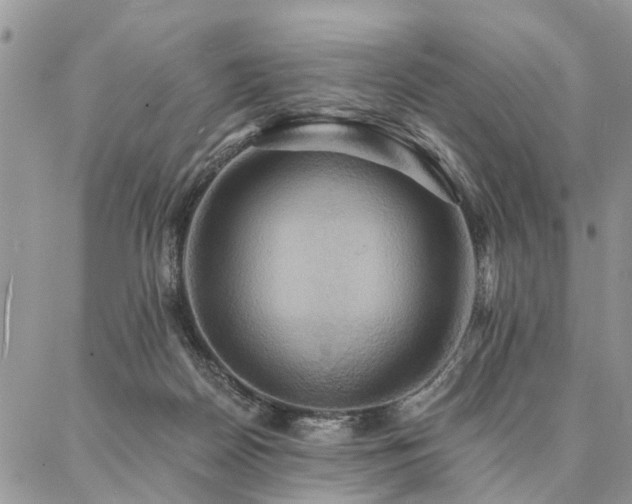 X0000087350170200704201131