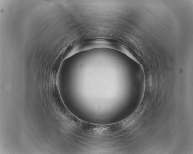 X0000087350172200704201131