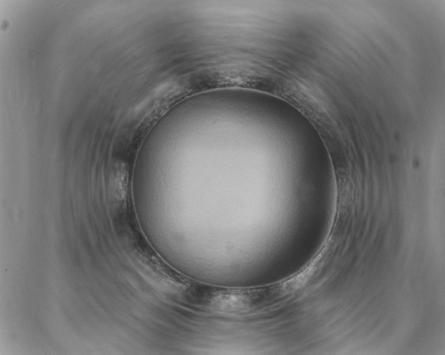 X0000087350174200704201131