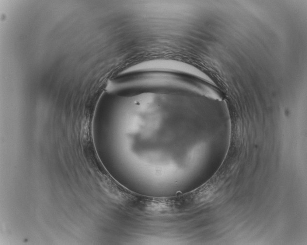 X0000087350177200704201131