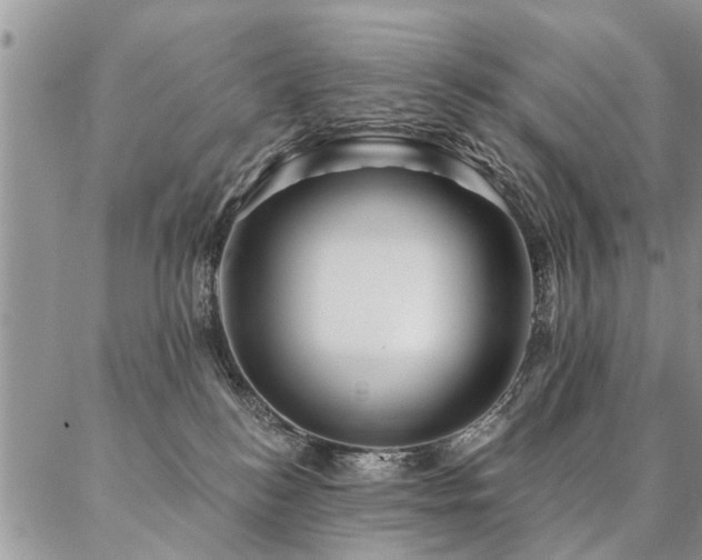 X0000087350184200704201131