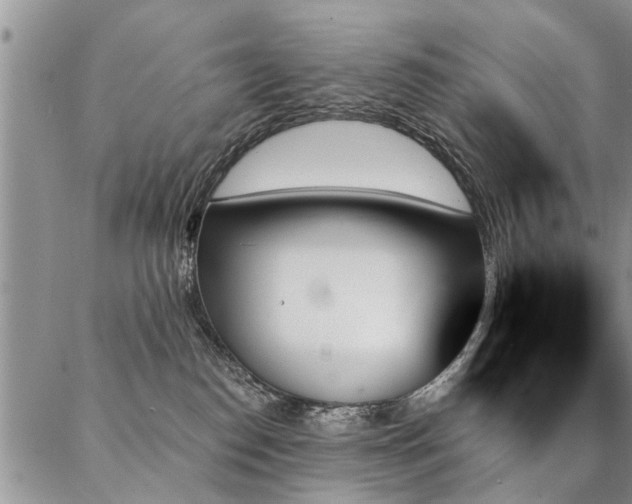 X0000087350186200704201131