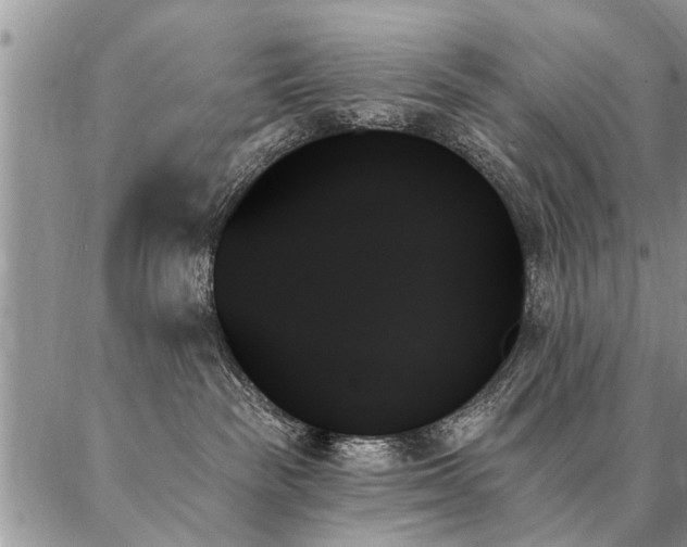 X0000087350189200704201131
