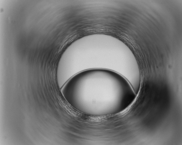 X0000087350190200704201131