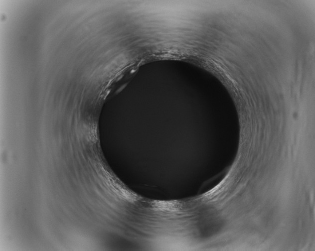 X0000087350192200704201131