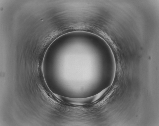 X0000087350201200704201130