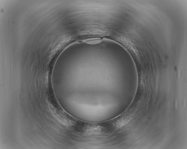 X0000087350206200704201130