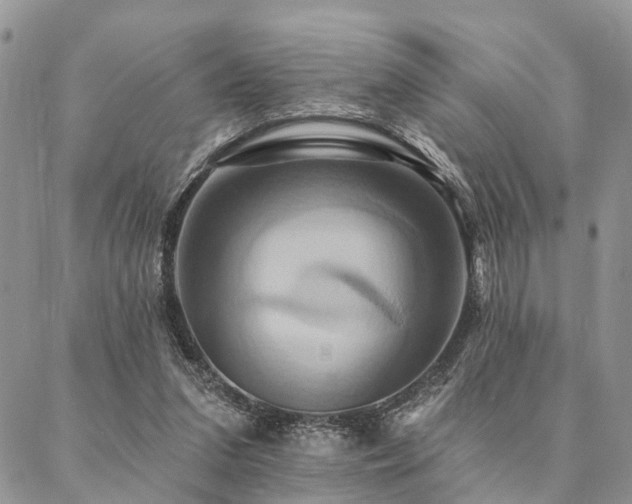 X0000087350207200704201130