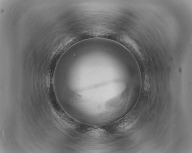 X0000087350210200704201130