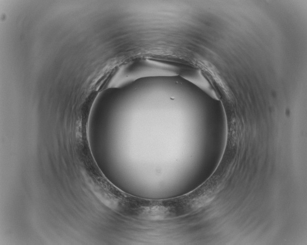 X0000087350212200704201130