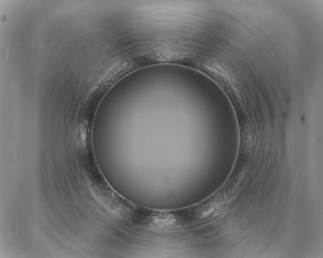 X0000087350214200704201130