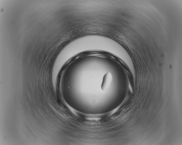 X0000087350215200704201130