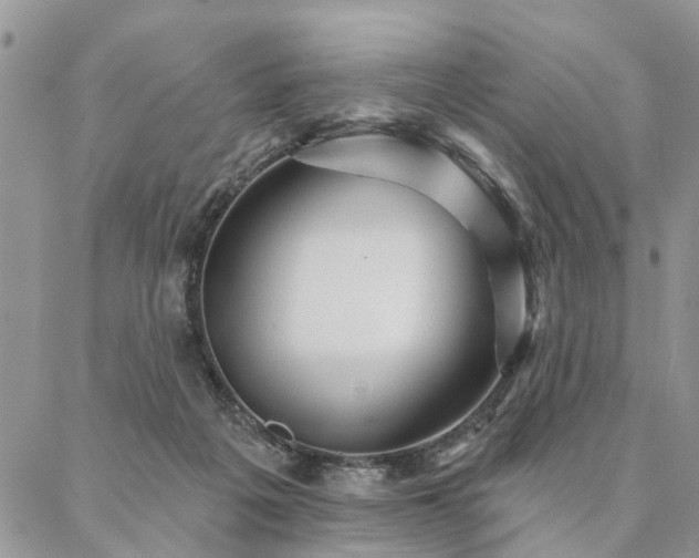 X0000087350217200704201130