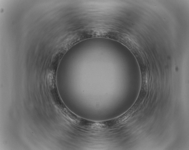 X0000087350222200704201130