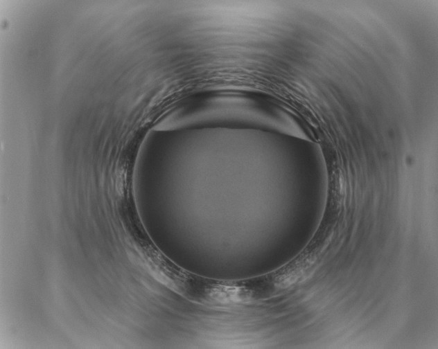 X0000087350227200704201130