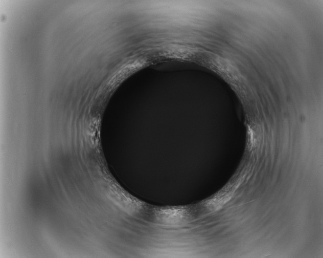 X0000087350237200704201130
