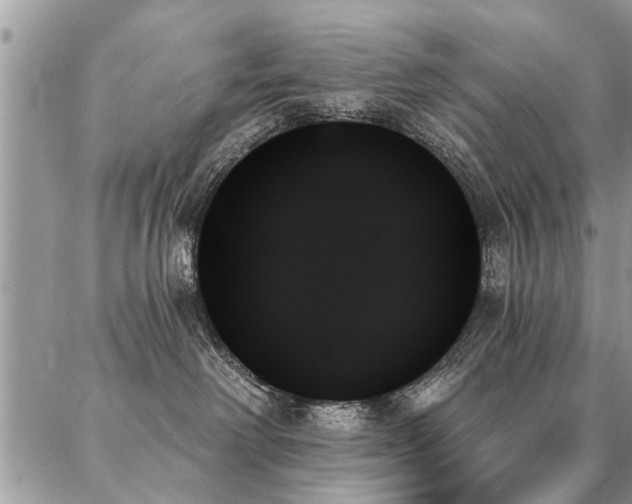 X0000087350238200704201130