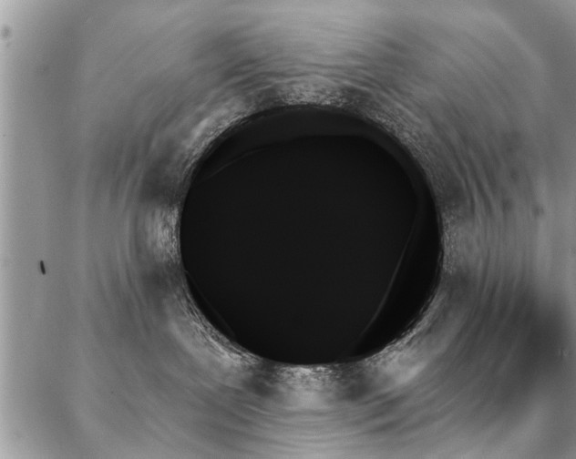 X0000087350239200704201130