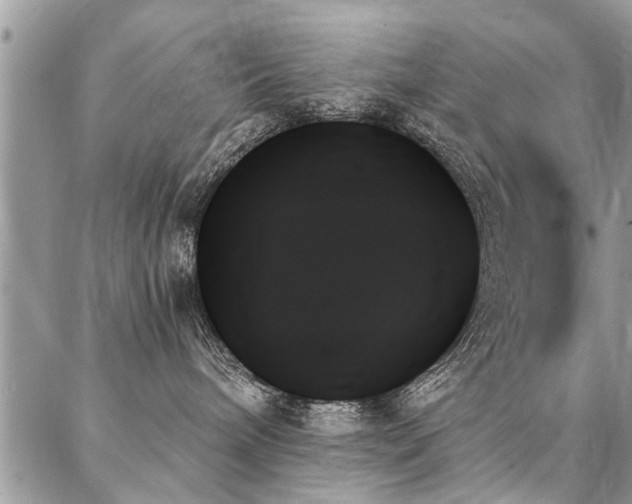 X0000087350240200704201130