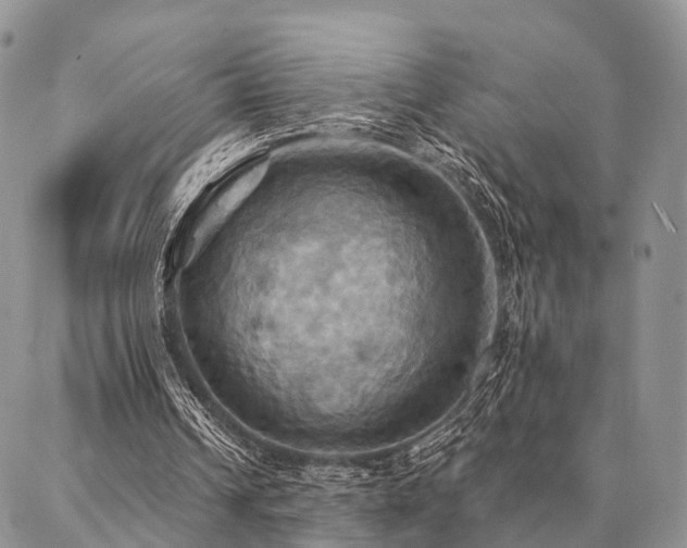 X0000087350242200704201129