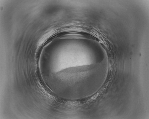 X0000087350245200704201129