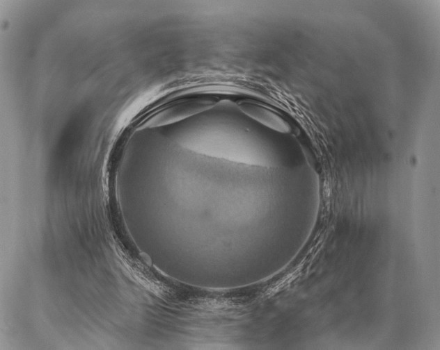 X0000087350246200704201129