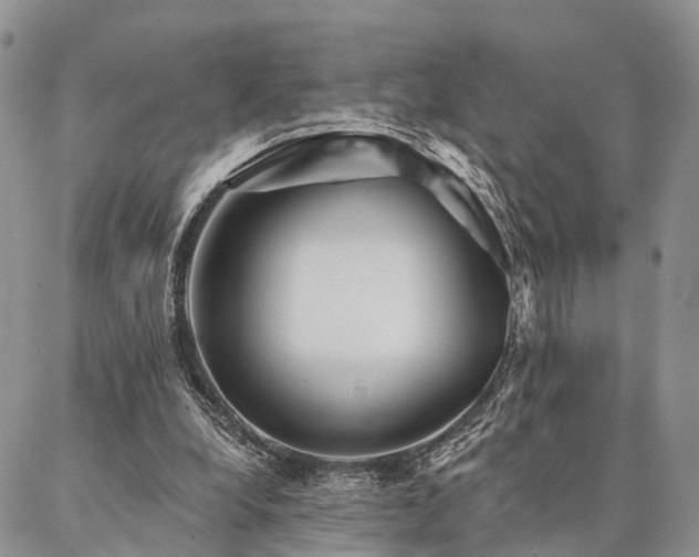 X0000087350248200704201129