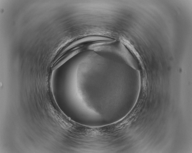 X0000087350249200704201129