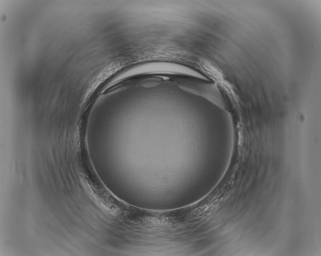 X0000087350250200704201129