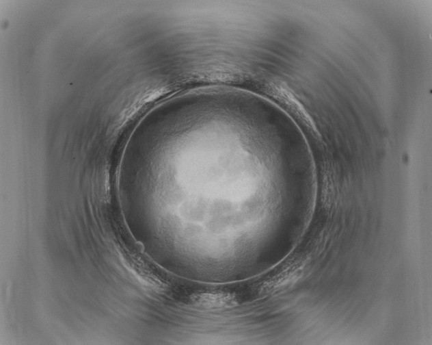 X0000087350251200704201129