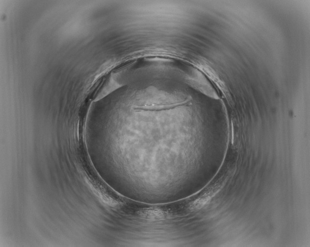X0000087350253200704201129