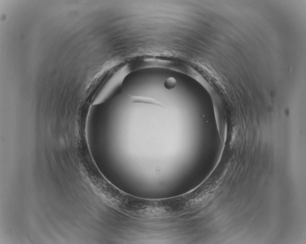 X0000087350256200704201129