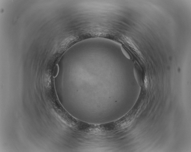 X0000087350259200704201129