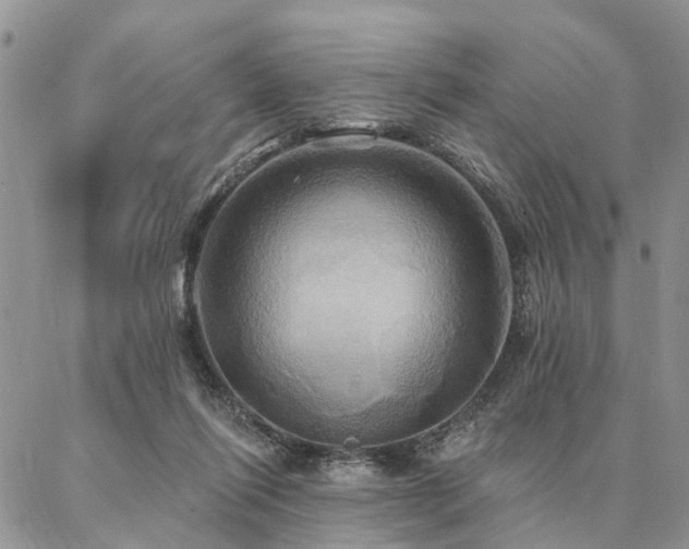 X0000087350262200704201129