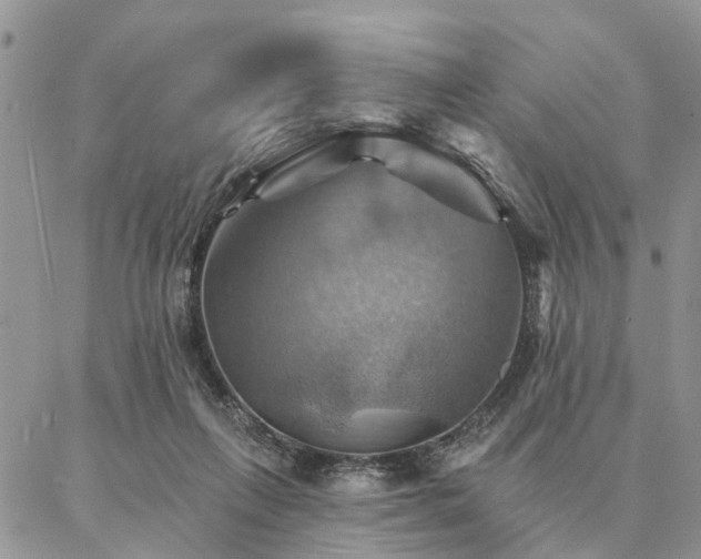 X0000087350263200704201129