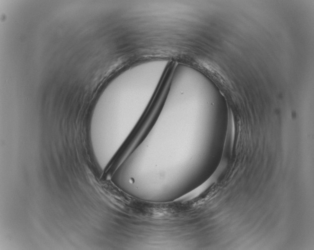X0000087350264200704201129