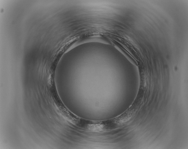 X0000087350266200704201129