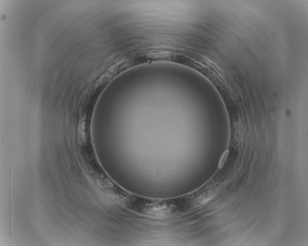 X0000087350267200704201129