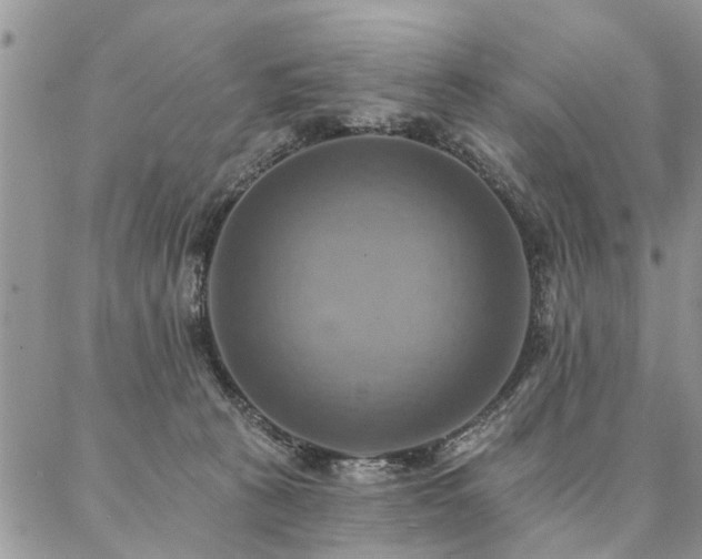 X0000087350273200704201129